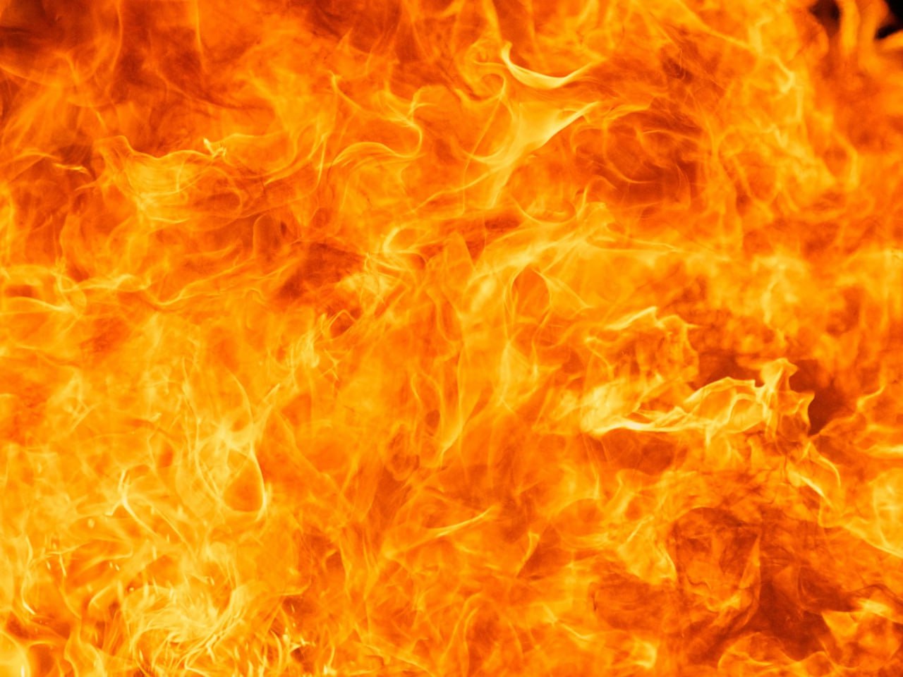 ARENA LIVE MANDRAKE8283